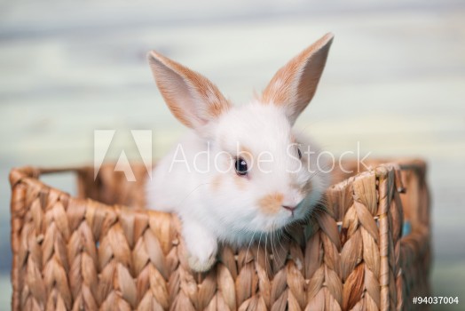 Bild på Curious baby bunny gazing from a basket